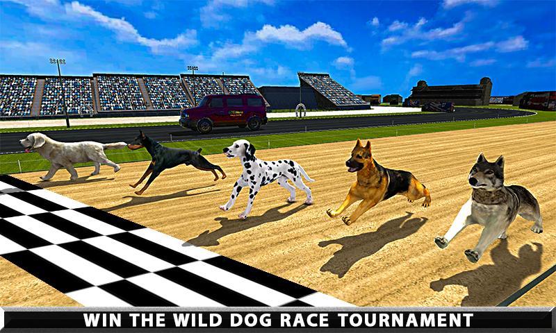 Dog racing betting advice bulletin Dog racing betting advice bulletin blue jays vs houston astros