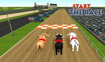 Bull Racing Fever পোস্টার