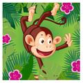 Talking Monkey 2018