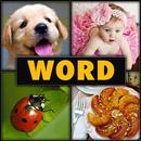 4 Pics 1 Word Puzzle APK