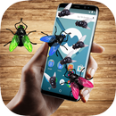 fly in phone funny joke APK