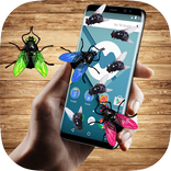 fly in phone funny joke