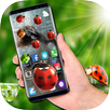 Ladybug on screen funny joke APK