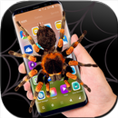 spider in phone funny joke APK