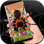 spider in phone funny joke icon