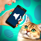 Cat translator audio joke ikon