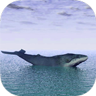 Blue Whale Real Escape Challenge Runner أيقونة