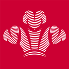 Prince's Trust icône