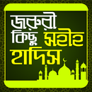 জরুরী কিছু সহি হাদিস - sohi hadith aplikacja