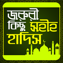 জরুরী কিছু সহি হাদিস - sohi hadith APK