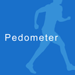 Pedometer