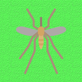 Mosquito Sound icon