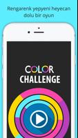 Color Challenge - Rengarenk Affiche
