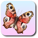 Remember the Flutterby APK