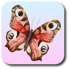 Remember the Flutterby icono