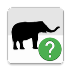 ShadowQuiz icon