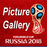 Picture Gallery - Russia 2018 - Football World Cup