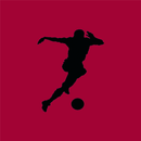 Futebol 2015-16 App português APK