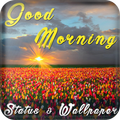 Good Morning Images