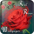 Rose wallpapers hd - Beautiful Red roses pictures icône