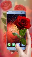 Rose wallpapers hd - Beautiful Red roses pictures Affiche