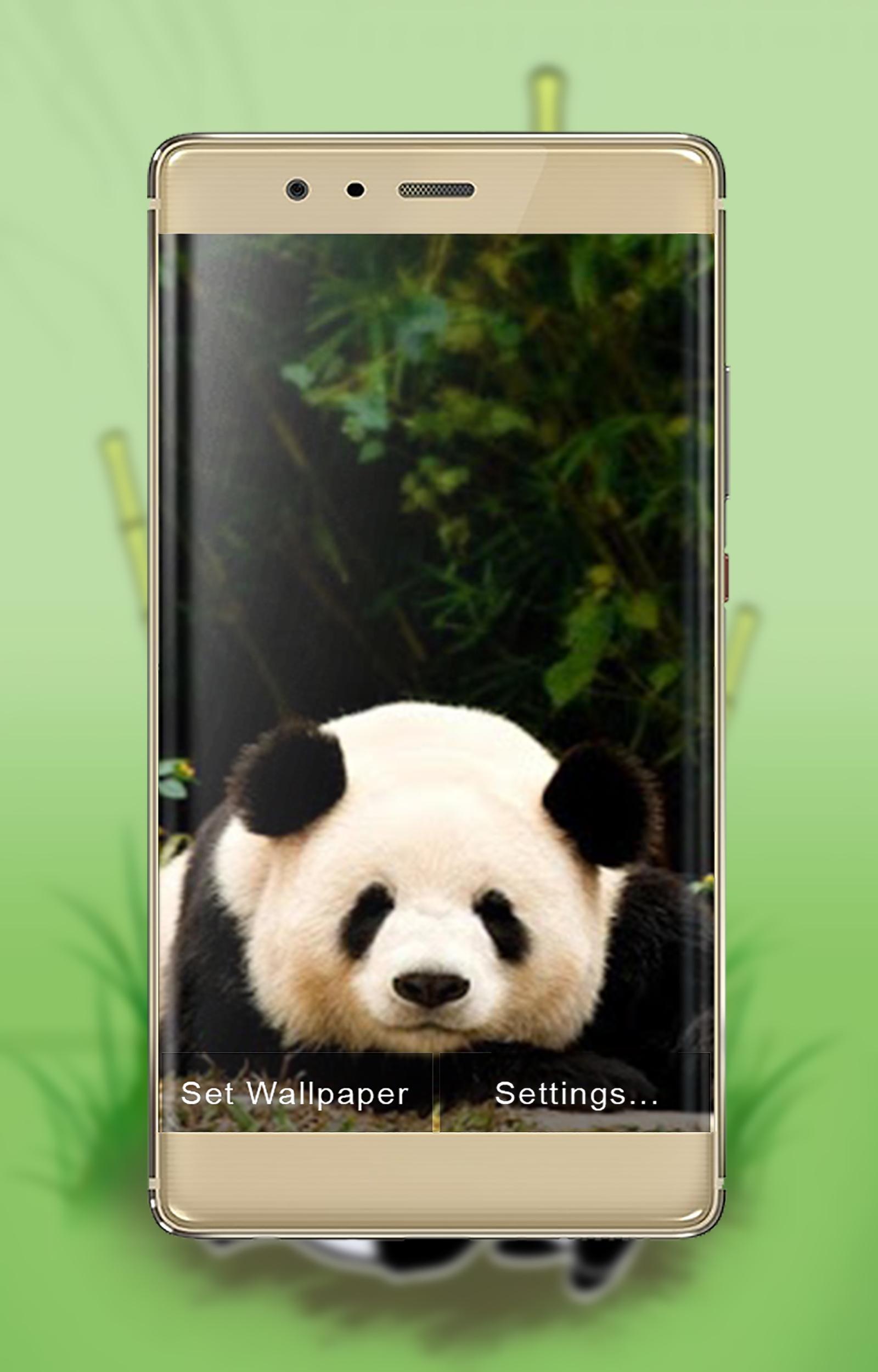 Sleepy Panda Wallpapers For Android Apk Download - sleepy panda roblox