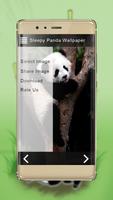 Uykulu panda duvar kağıtları ภาพหน้าจอ 2