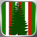 Light Up The Tree! - Christmas Tree Lights Game APK