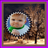 Winter Photo Frames APK