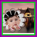 Holliday Photo Frames