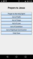 Catholic Prayers screenshot 3