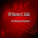 99 Names of Allah - with Meani APK