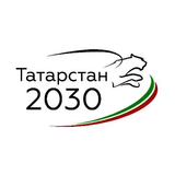 Татарстан - 2030 आइकन