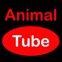 Animal Tube Poster