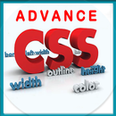 Learn CSS  free Code and Examp APK