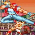 Pro Real Bout Fatal Fury tips icône