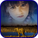 Wildlife Photo APK