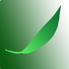 Bamboo Leaf - Wifi Disk أيقونة