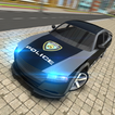 Police Car Chase-Criminal Case