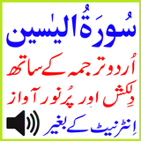 My Surah Yaseen Urdu Mp3 Basit أيقونة