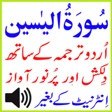My Surah Yaseen Urdu Mp3 Basit-icoon