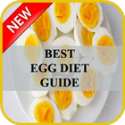Best Egg Diet Guide icône