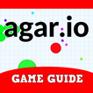 Agar.io Guide Tricks and Skins