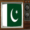 Satellite Pakistan Info TV