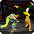 Capoeira Fighting 2017: Martial art Fighter Combat