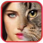 ikon Face Changer :Tiger Morphing
