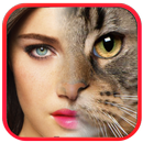 Face Changer :Tiger Morphing APK