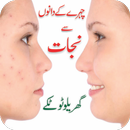 Face Pimples Home Remedy Solutions – Urdu Tips APK