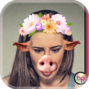 Cambio feo de la cara APK