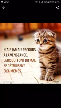 Citation D Amour For Android Apk Download
